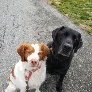 Meet your Posher, Janet